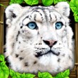 终极雪豹模拟器 1.2 安卓版