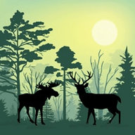 森林动物模拟器 1.0 安卓版
