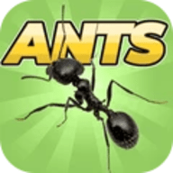 蚂蚁大战游戏手机版 3.0.1 安卓版