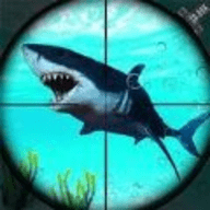 鲨鱼猎手3D 1.1.6 安卓版