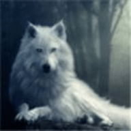 西北孤傲的狼官方版 1.0.0 安卓版