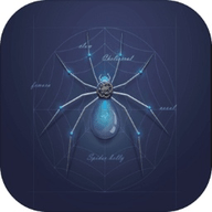 变形蜘蛛 1.0.0 安卓版