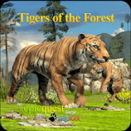 老虎家庭模拟器 1.0 安卓版
