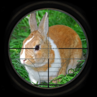 兔子狩猎3D（Rabbit Hunting 3D） 2.0 安卓版
