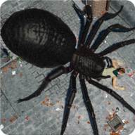 蜘蛛猎人游戏 1.013 安卓版