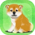 养育柴犬的治愈游戏中文版 1.0.3 安卓版