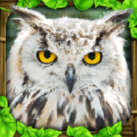 终极猫头鹰模拟器完美版 1 安卓版