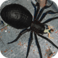 蜘蛛猎手游戏 1.013 安卓版