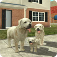 在线模拟狗最新版 9.1 安卓版
