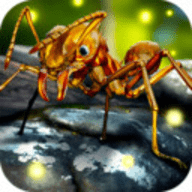 蚂蚁世界大战游戏 1.0 安卓版