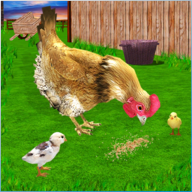 母鸡模拟器 1.09 安卓版