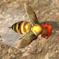 蜂巢模拟器3D 1.0.2 安卓版