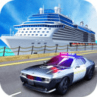 真正的警察模拟器游戏 1.0 安卓版