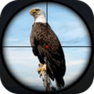 鸟类猎人狙击手 1.0 安卓版