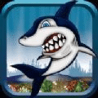 喂小鲨鱼游戏ios最新版 1.0 苹果版