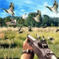 猎鸭挑战（Duck Hunting challenge） 5.0