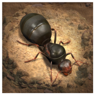 蚂蚁地下王国模拟器（The Ants） v1.22.0 安卓版