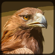 野鹰模拟器手机版 3.1 安卓版